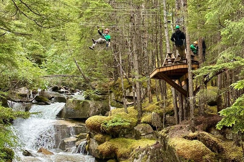 Expédition tyrolienne de Grizzly Falls