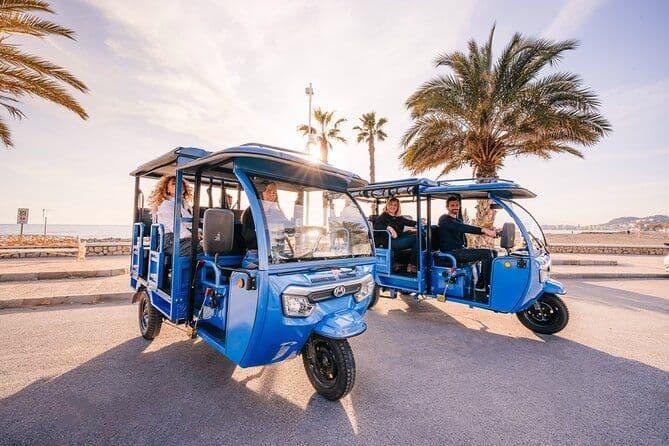 Visite express 40 minutes à Malaga Mirador Gibralfaro et photographie