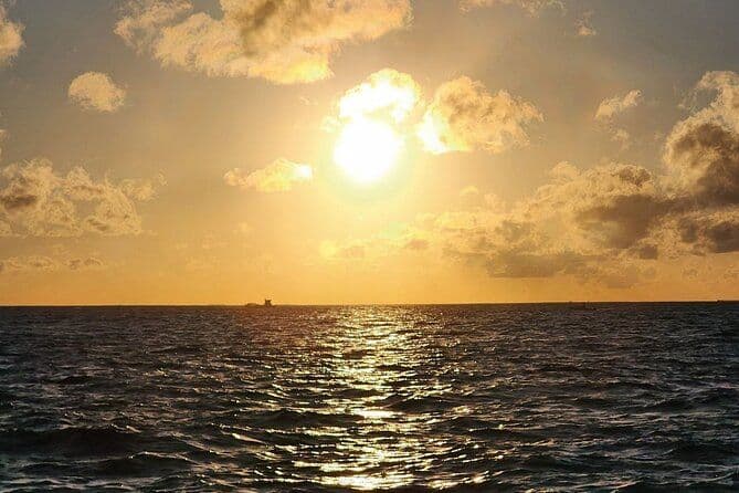 Coucher de soleil et dauphins Un safari en mer au coucher du soleil