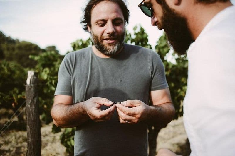 Bertrand Bosc visite des vins et des mets à Pic St Loup