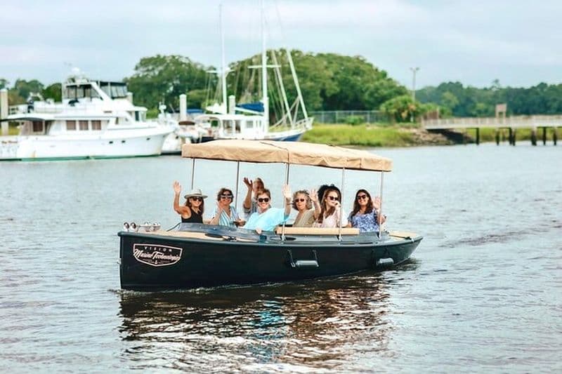 Location de bateau électrique de luxe avec capitaine privé à Savannah