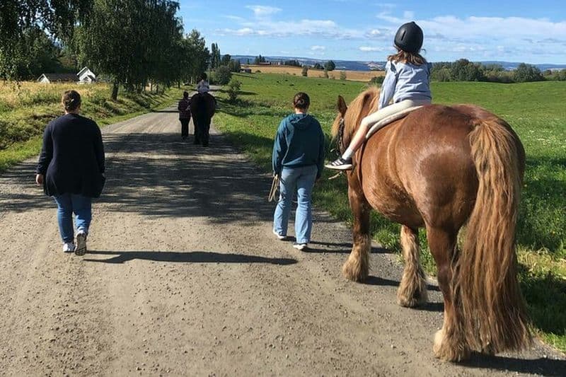 Équitation pour enfants à Fokhol Gård