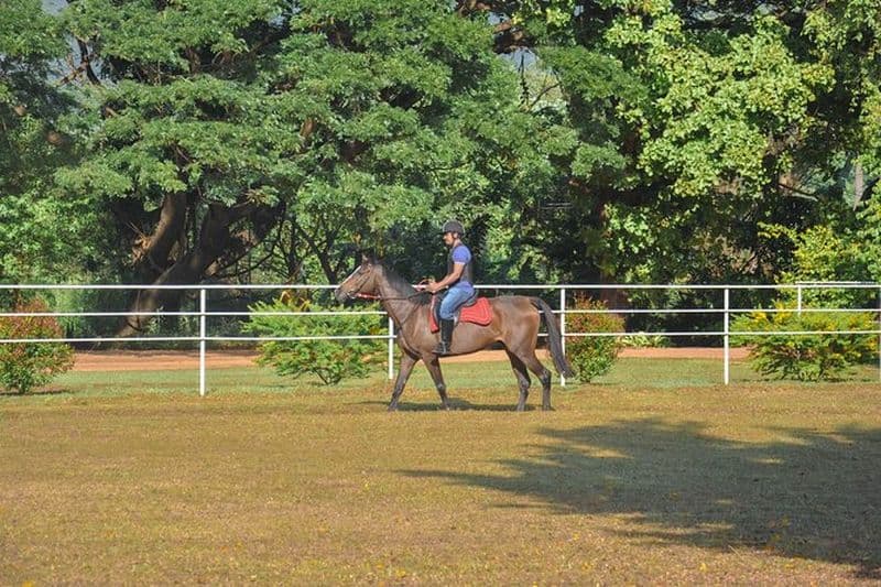 Équitation pour les débutants de Negombo