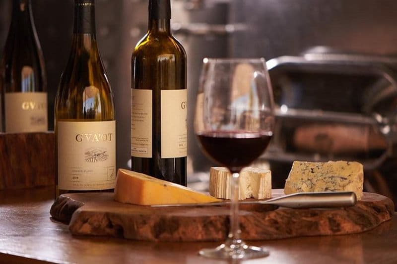 visite guidée des vins d'Israël