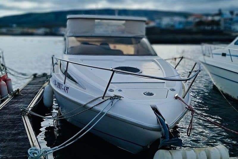 Excursion en bateau et pêche dans le sud-est de l'île de Terceira 4h max. 6px