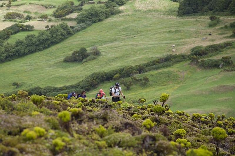 Visite privée de la randonnée des 10 volcans à Faial
