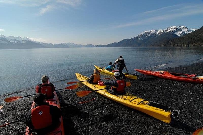 Aventure de kayak dans la baie Resurrection