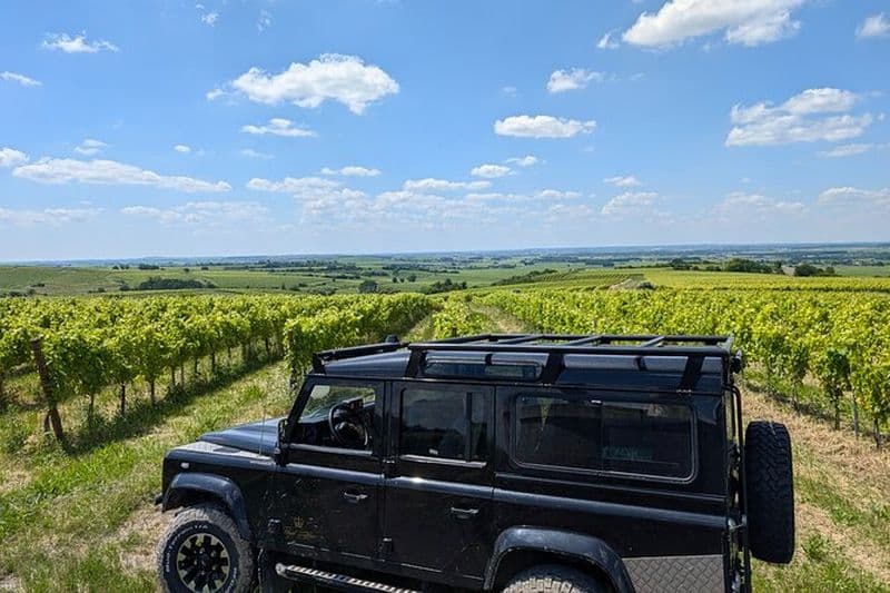 Cognac tour du vignoble et visite/dégustation chez un vigneron