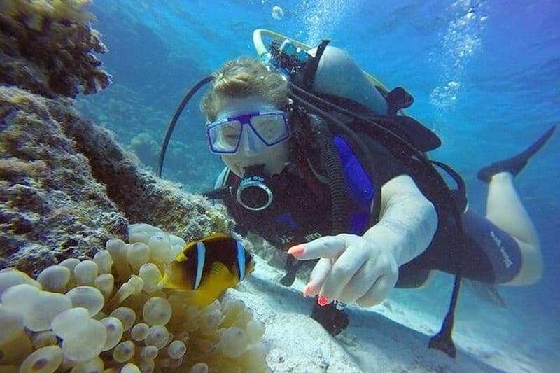 Plongée sous-marine à Hurghada