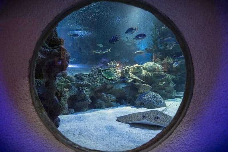 Malaisie: Billet d'entrée Aquaria KLCC