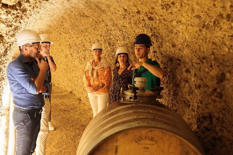GroMonte : Grotte, vin et histoire à Montefiore dell'Aso
