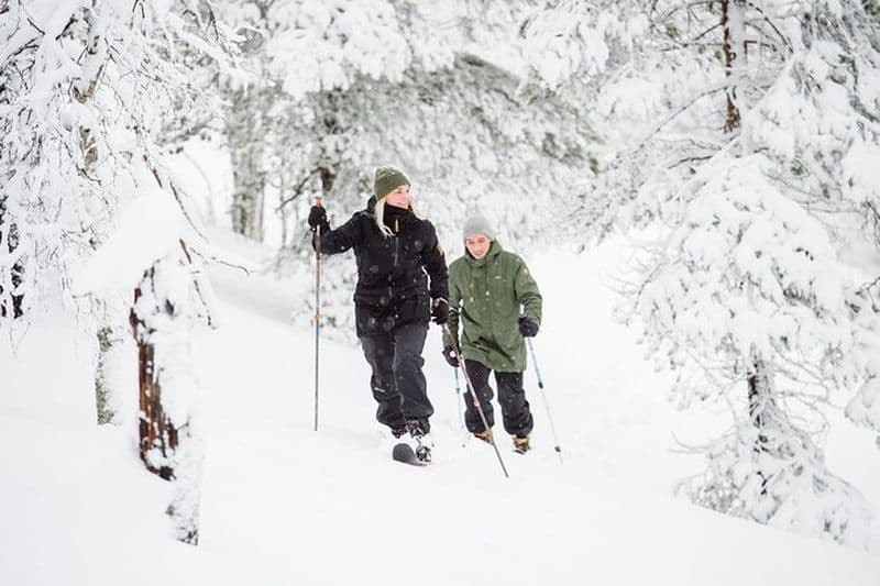 Ski classique en pleine nature dans le parc national de Pyhä-Luosto