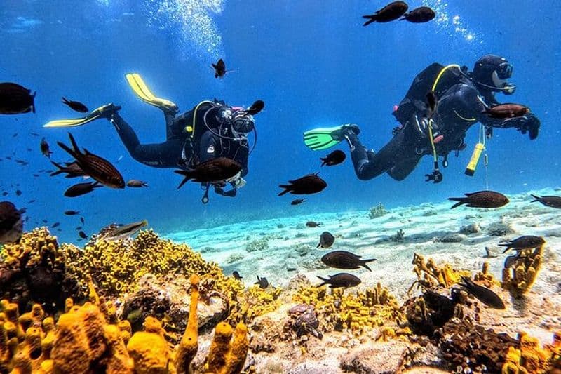 PADI Découvrez la plongée pour débutants à Ouranoupoli | Chalkidiki | Grèce
