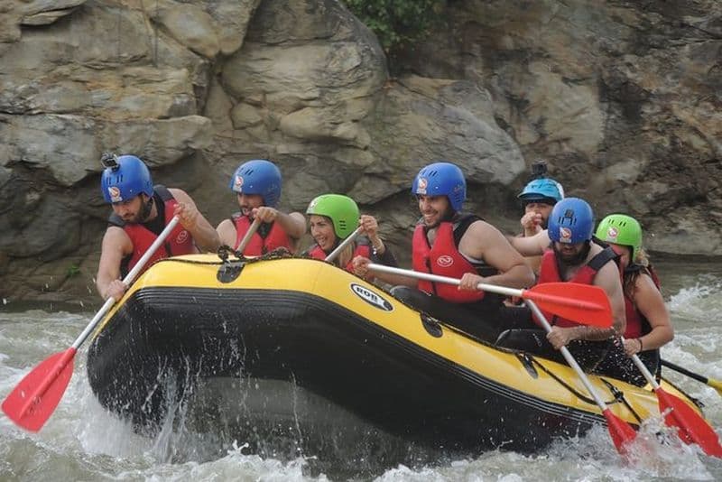 Rafting dans les Carpates, excursion d'une journée au départ de Brasov