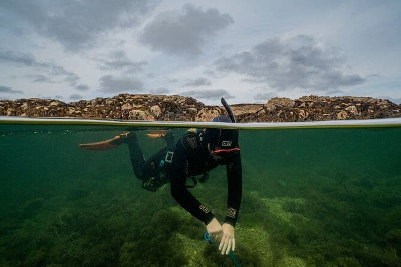 Activité guidée de plongée avec tuba à Coral Beach Carraroe, Galway