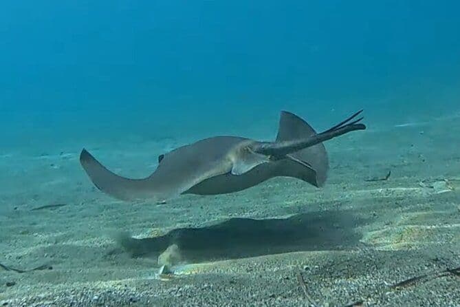 Plongée sous-marine pour débutants à Limassol Amathus Ruins