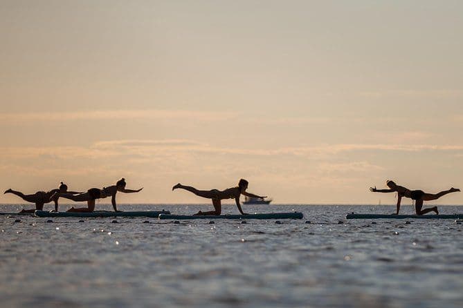 SUP Yoga à Stoja: Flux sur l'eau