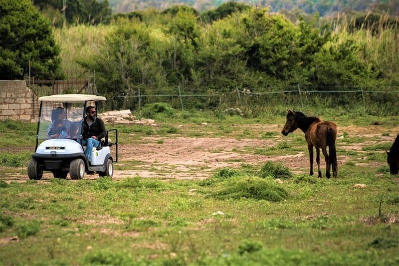 Location de voiture golf à Parc naturel de Porto Conte