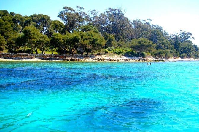 Private Lérins Islands Snorkeling Tour: Swim & Relax from Cannes