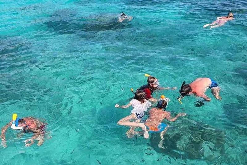 Orcaglassbottom Boat Seychelles SteAnneMarinePark (Snorkeling )