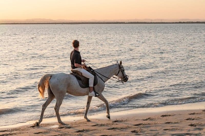 Randonnée à cheval dans l'Almada à Praia Prova Vinhos et Cristo Rei
