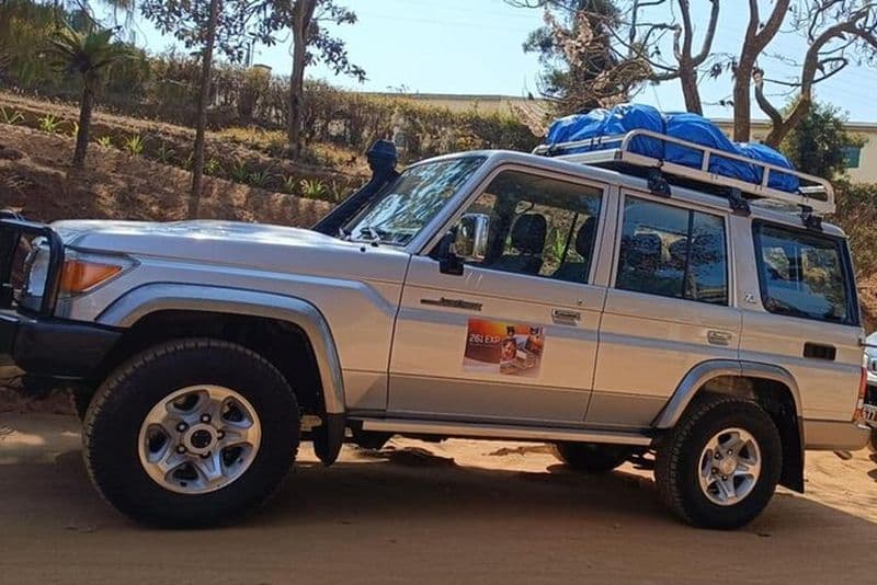 Mosaïque malgache Explorez Madagascar Wild South