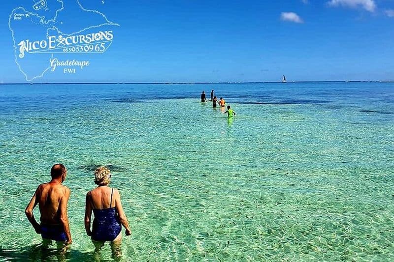 Découverte en Bateau de la Mangrove et son lagon en 7 Étapes dont 4 Baignades