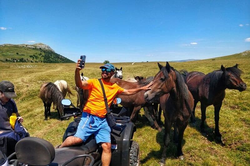 Safari d'une journée en quad et chevaux sauvages à Livno au départ de Split