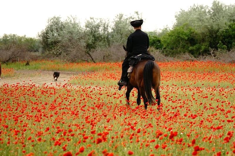 Équitation et yourte séjour dans la Puszta, 1 heure de promenade matinale