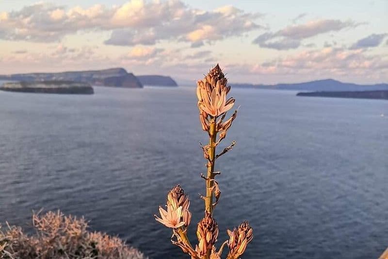 Tourisme privé de pêche intérieure - Visite du matin