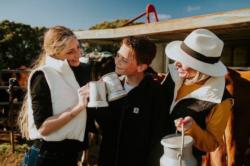 Jeep Safari Farm et les vaches FD Tour