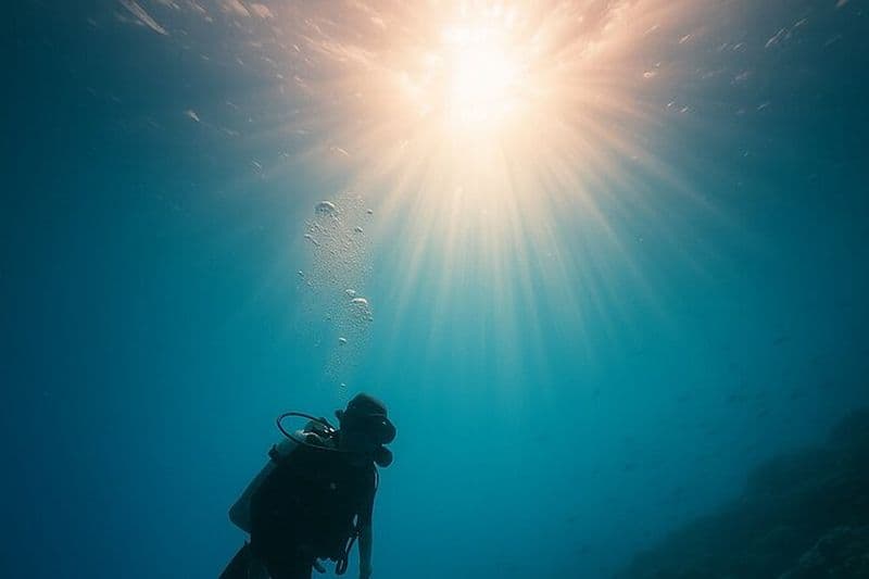 Maldives Diving & Snorkeling Adventure | Coral Trails