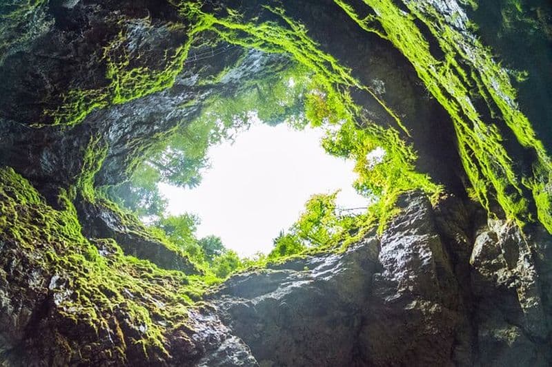 Excursion d'une demi-journée sur l'île de Terceira Algar do Carvão