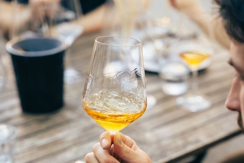 Expérience privée de dégustation de vin à Ljubljana