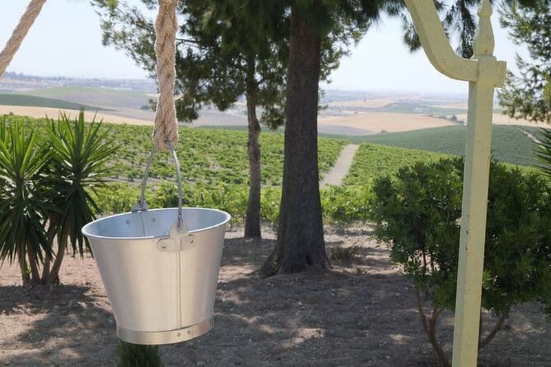 Vignoble Bodega et Flamenco à Jerez Découvrez sa Tradition et Culture