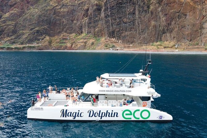Observation des dauphins et des baleines de Madère sur un catamaran écologique