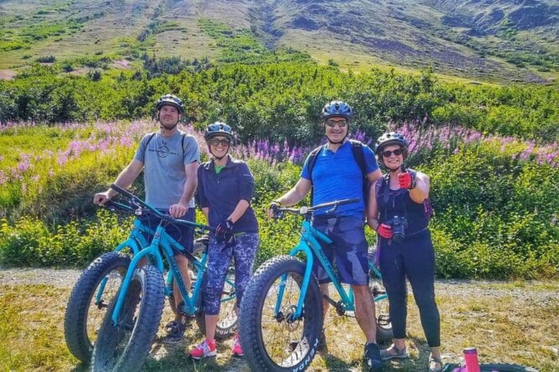 Visite panoramique en VTT d'Anchorage