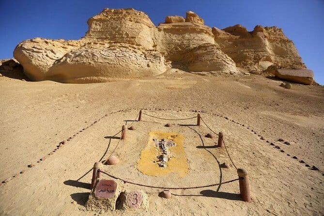 Visite privée de la vallée des baleines et des cascades de Wadi El Rayan à El Fayoum depuis le Caire