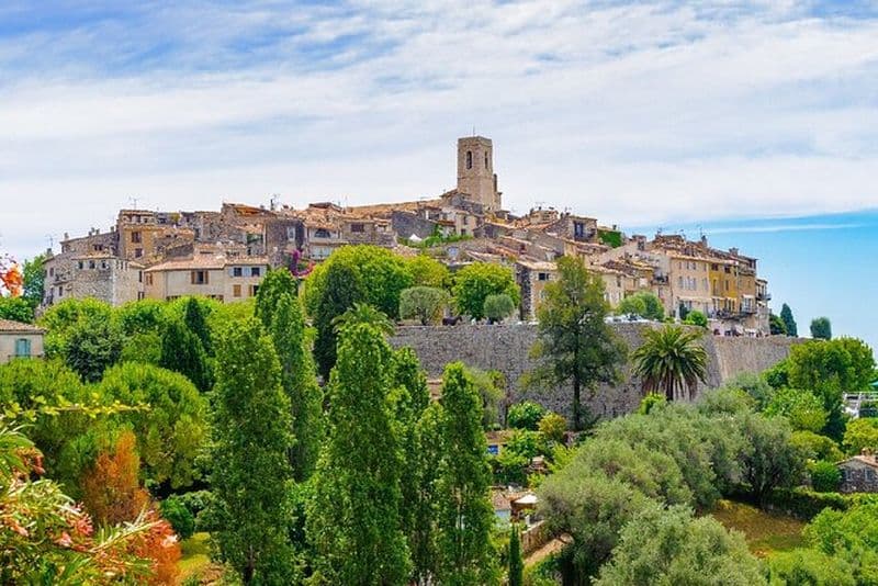 Cannes, Dégustation de vins, Marché provençal & Visite privée à la campagne