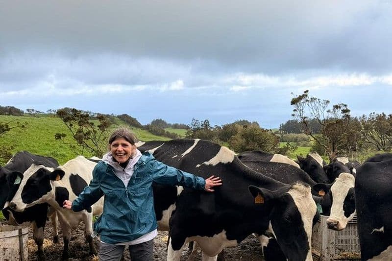 Tournée des fromages