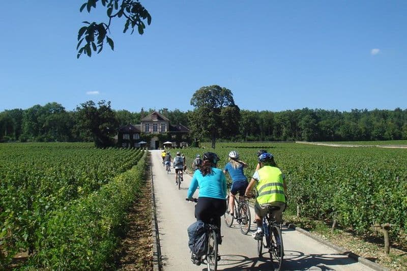Excursion à vélo en Bourgogne avec dégustation de vins au départ de Beaune
