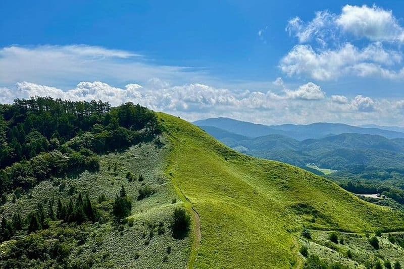 Hiroshima: Randonnée zen et matcha avec un moine dans la nature
