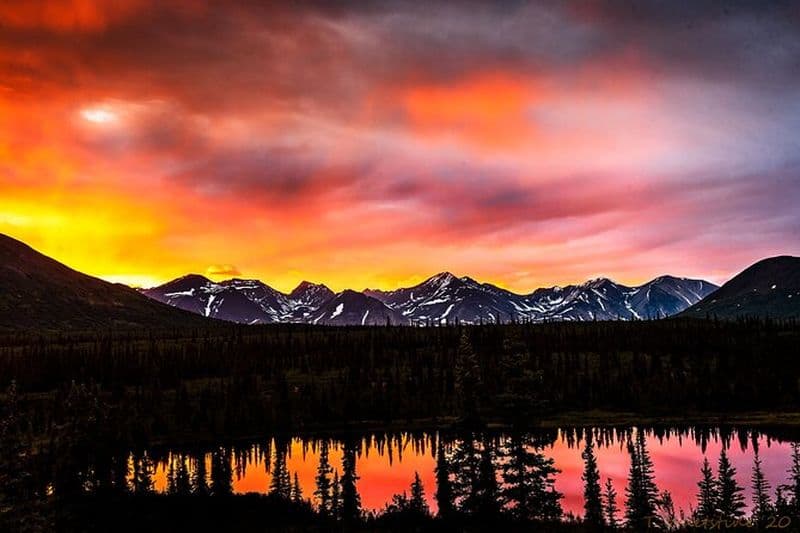 Atelier photo Denali privé de trois jours