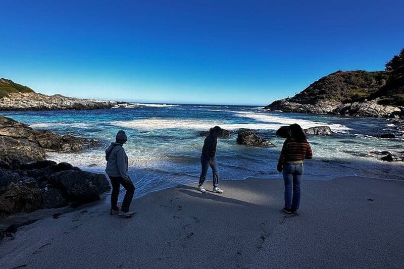 Visite privée des pingouins Zapallar Walking & Bird Watching depuis Stgo