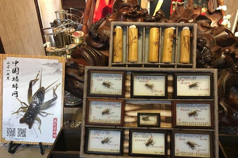 2-Hour Yu Garden dans la vieille ville et le cricket Boxe Culture Expérience