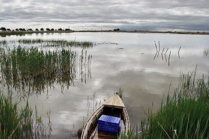 Tour d'observation des oiseaux dans le delta de l'Èbre