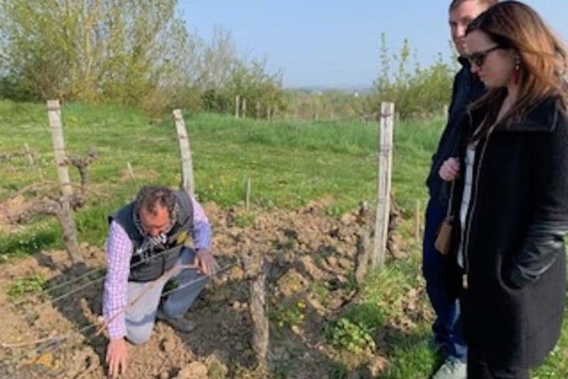 Visites des vignobles de la Loire en anglais au départ de Chinon