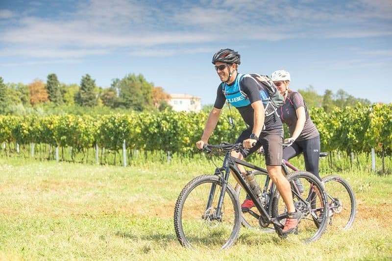 Visite guidée à vélo de 5 jours en Istrie avec hébergement privé