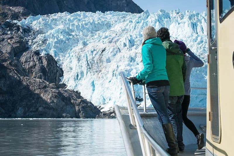 Croisière d'une journée dans le parc national des fjords Kenai