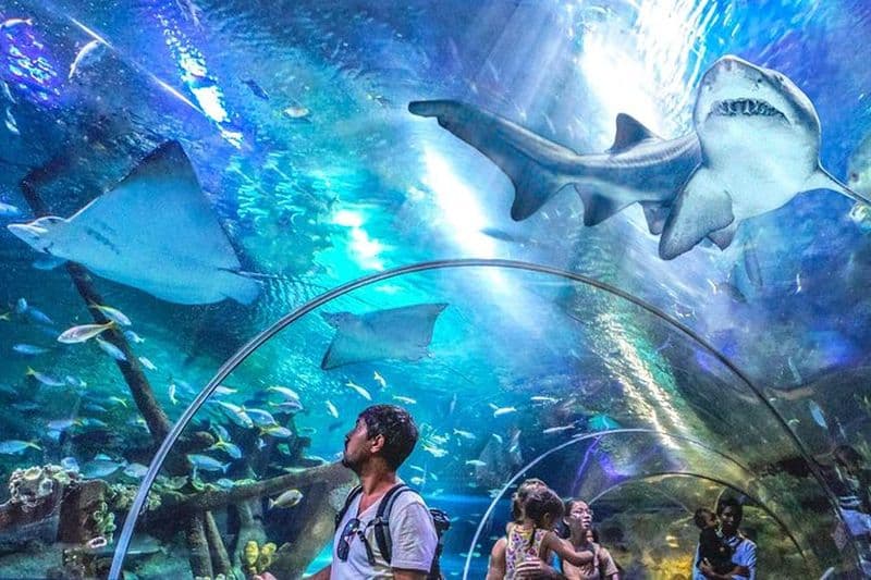 Malaisie : billet électronique pour l'entrée à Aquaria KLCC